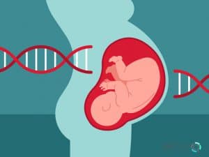 ژنتیک در بارداری بهترین تست غربالگری