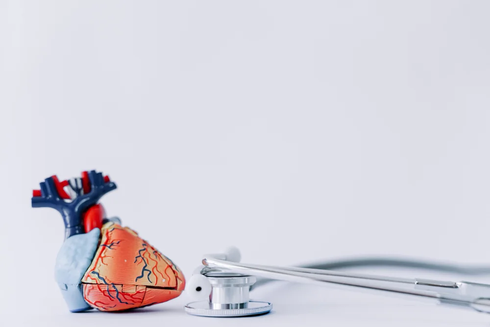 stethoscope realistic heart copy